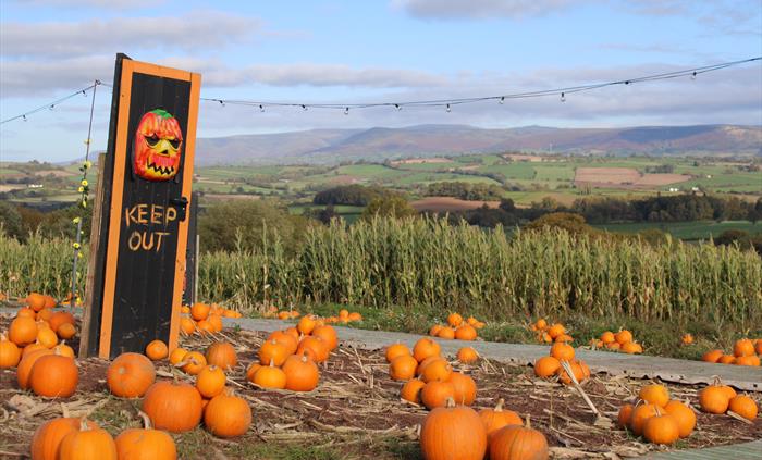 Pumpkin Festival @ Cantref 2026 Wales